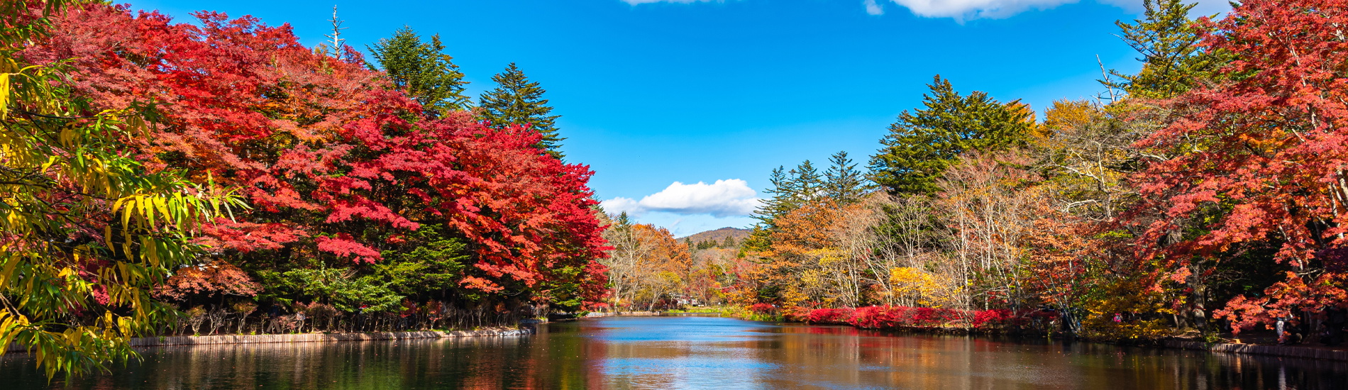  Kumoba Pond 