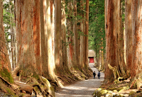 Togakushi Jinja Shrine