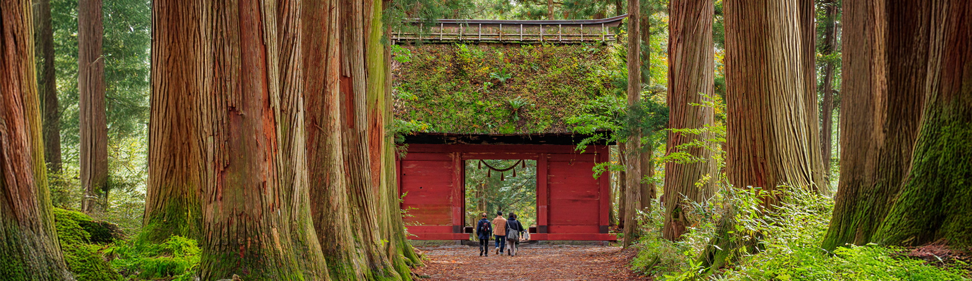 Nagano | Togakushi Shrine