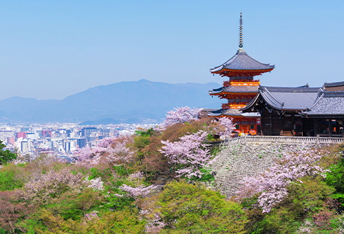 Highlights of Kyoto