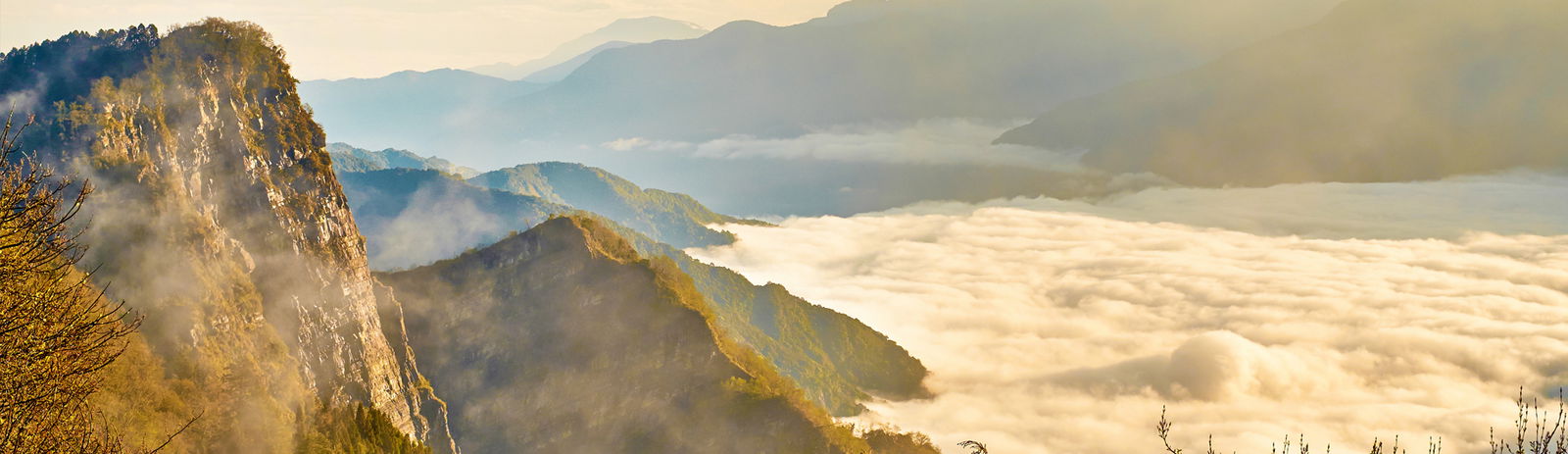 Ali Mountain (Alishan)