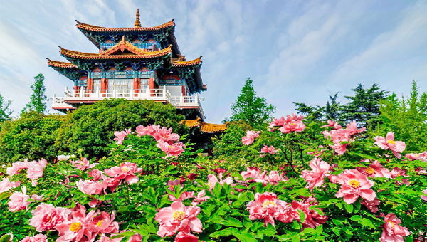 Henan Heritage: A Journey Through TimeMystic Martial Monastery: The Shaolin Experience