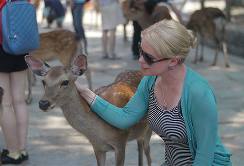 Meet Nara's "messengers of the gods"